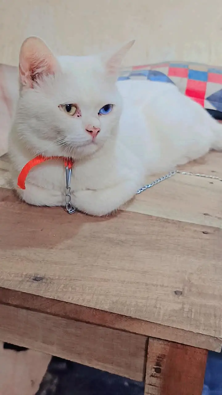 cute bila — photo 2