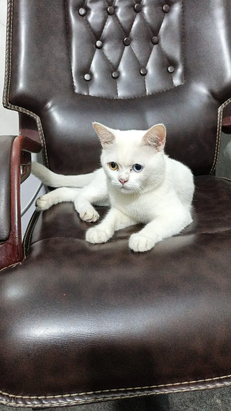 cute bila — photo 3