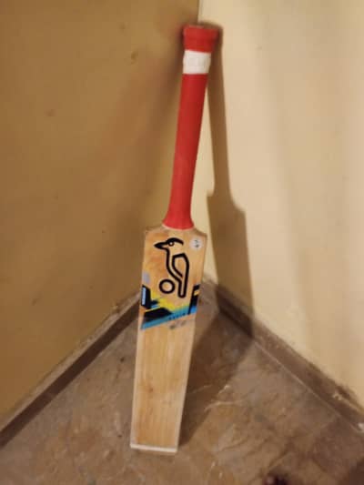 Cricket bat