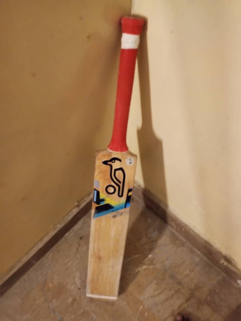 Cricket bat 0