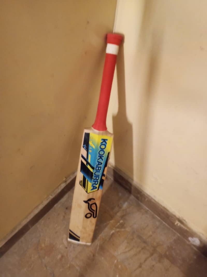 Cricket bat 1
