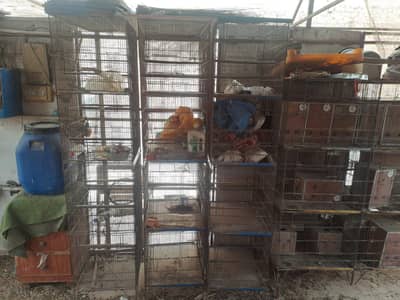 BIRD'S CAGES FOR SALE
