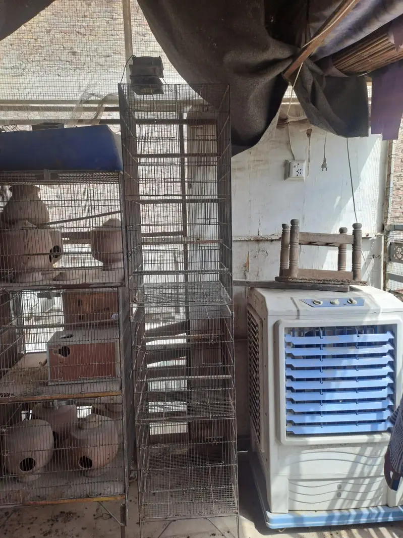 BIRD'S CAGES FOR SALE — photo 2