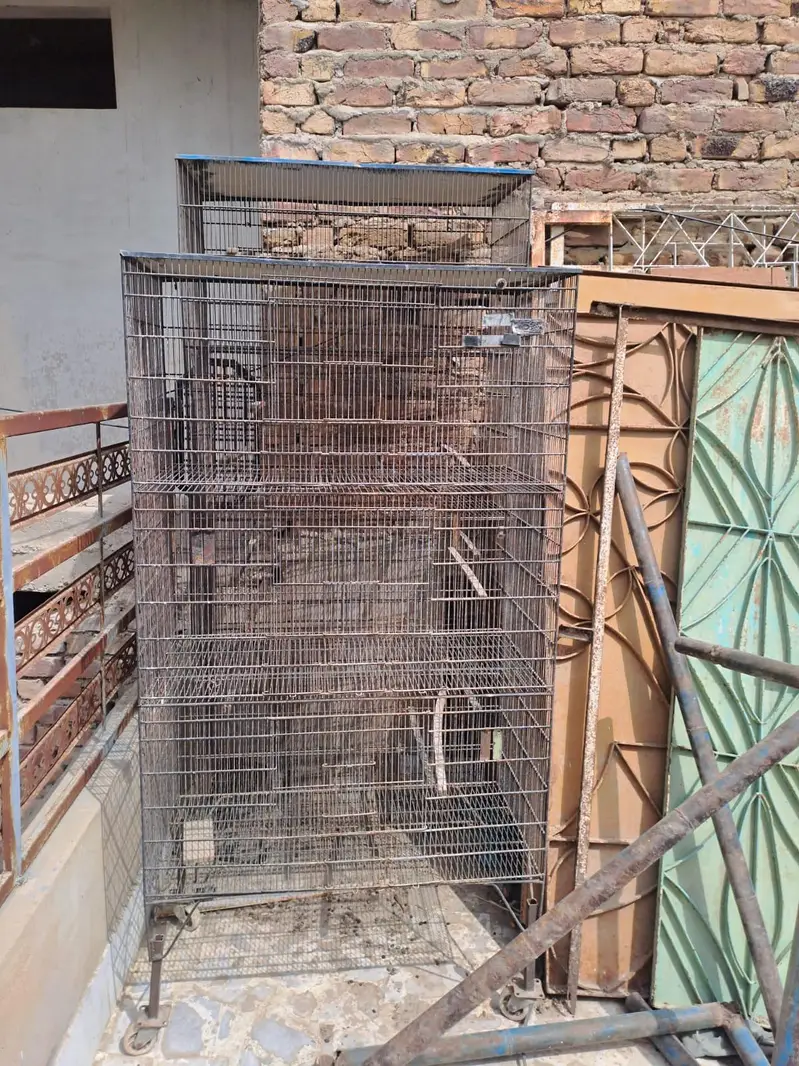 BIRD'S CAGES FOR SALE — photo 3