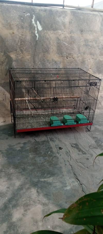cage for sale