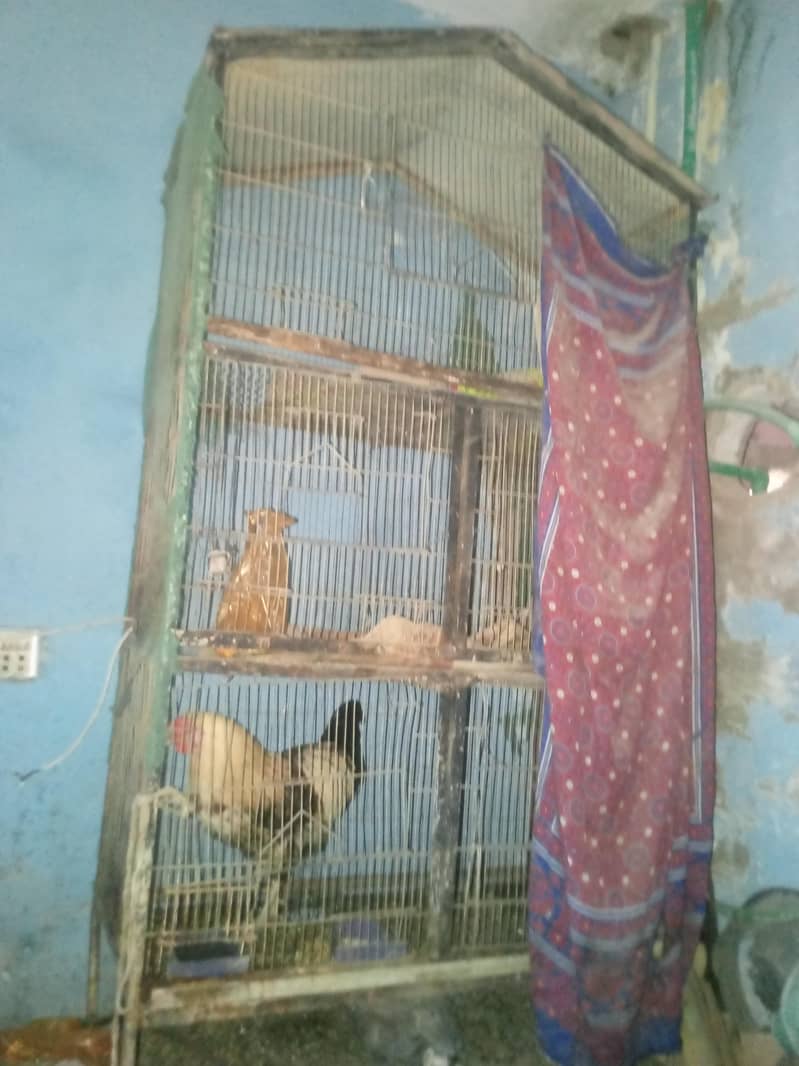 parrot cage 0