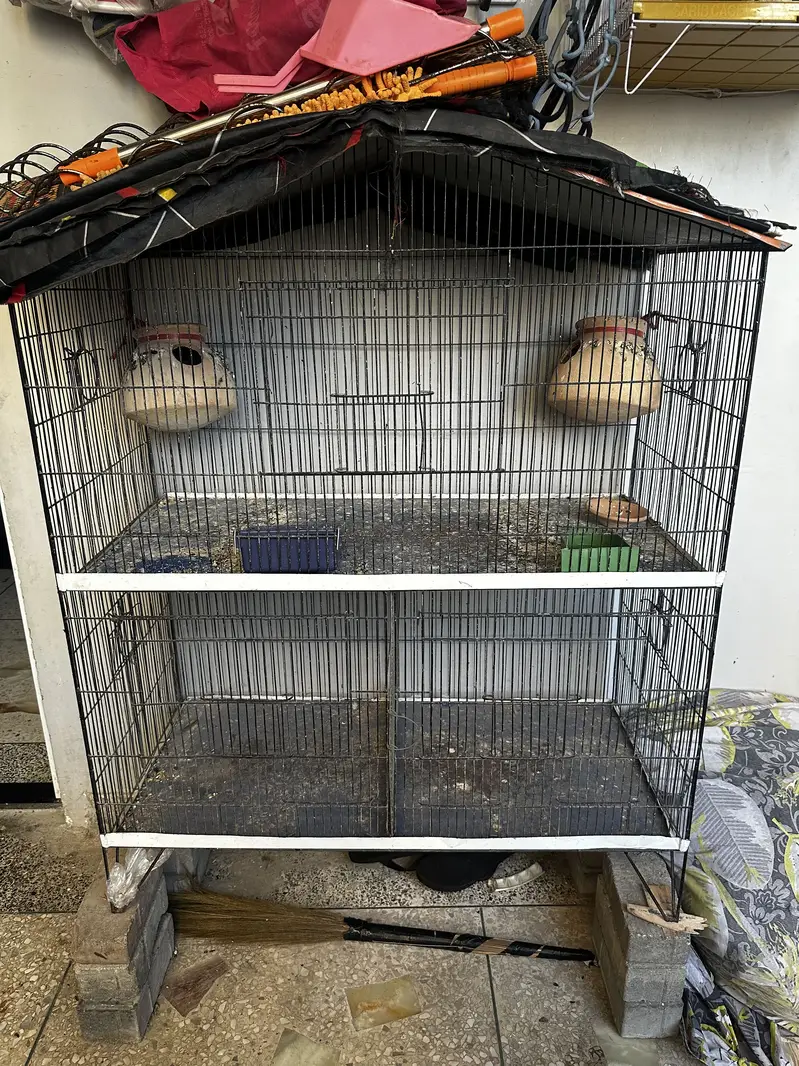 Bird cage — photo 2