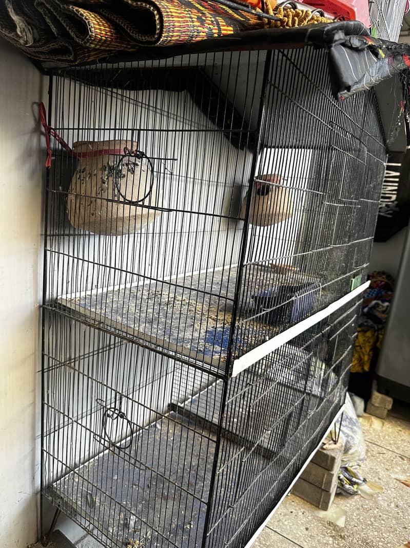 Bird cage 2