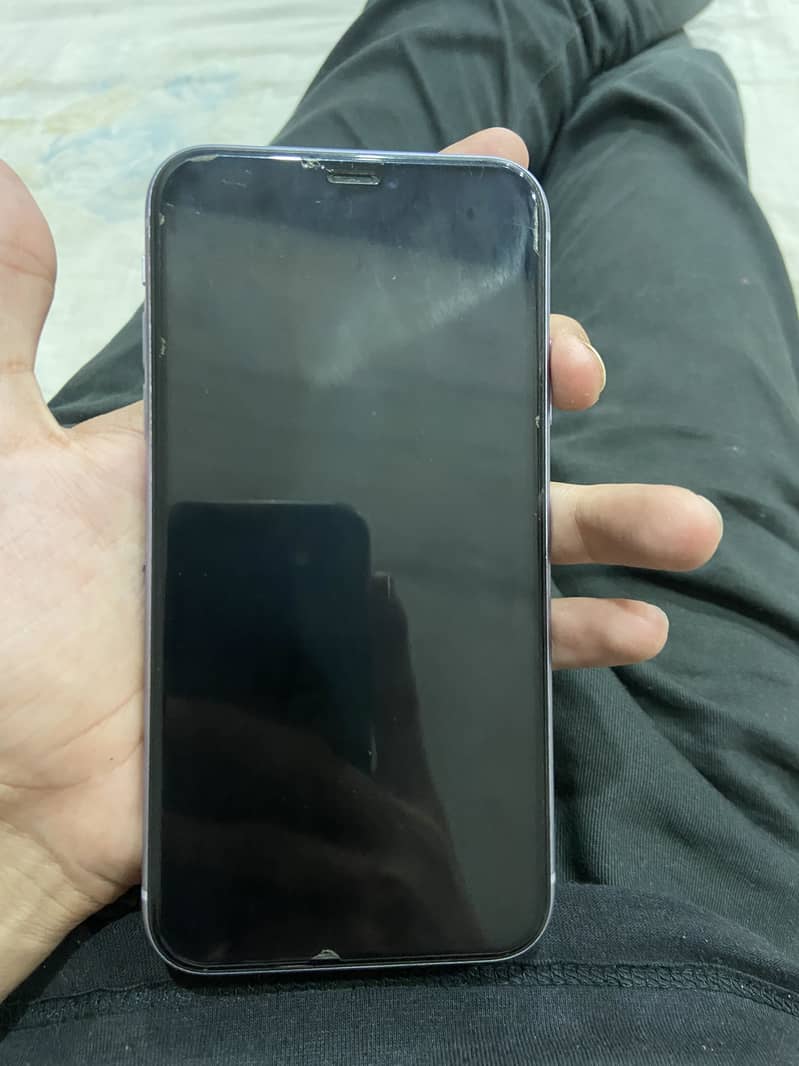 Apple iPhone 11 0