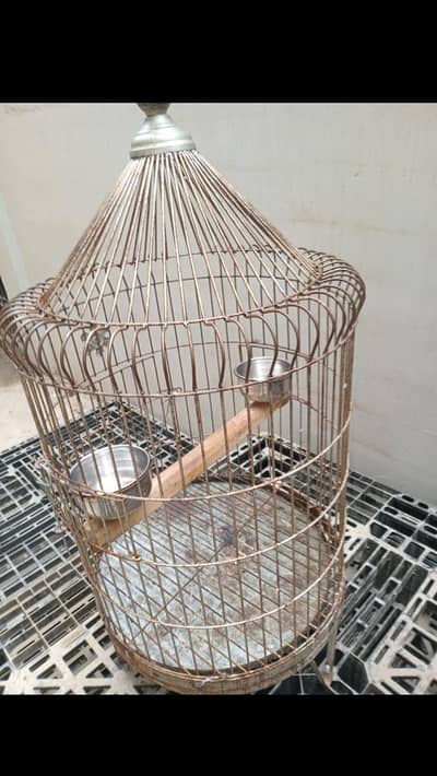 Raw parrot cage