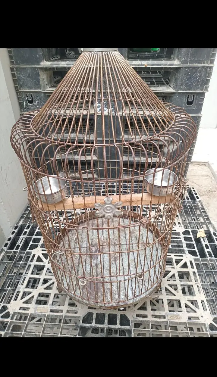 Raw parrot cage — photo 2