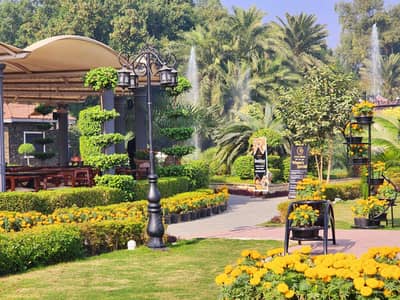 Residential Plot Of 12 Marla Is Available For Sale In Palm City, Lahore