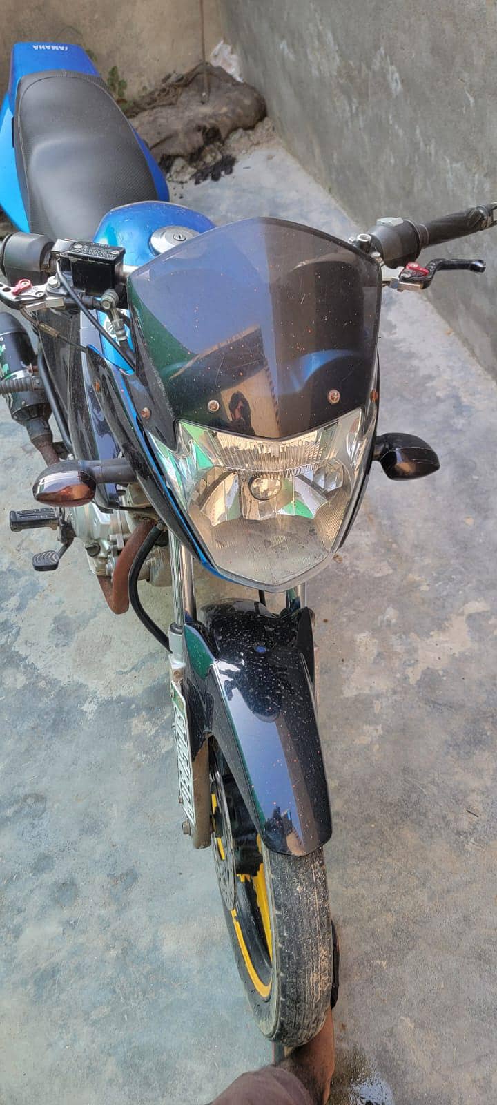 normal 1
