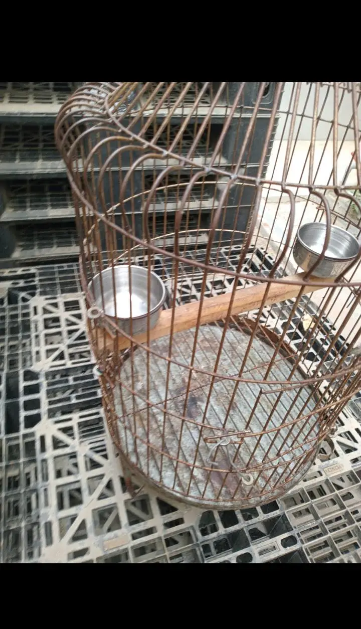 Raw parrot cage — photo 3