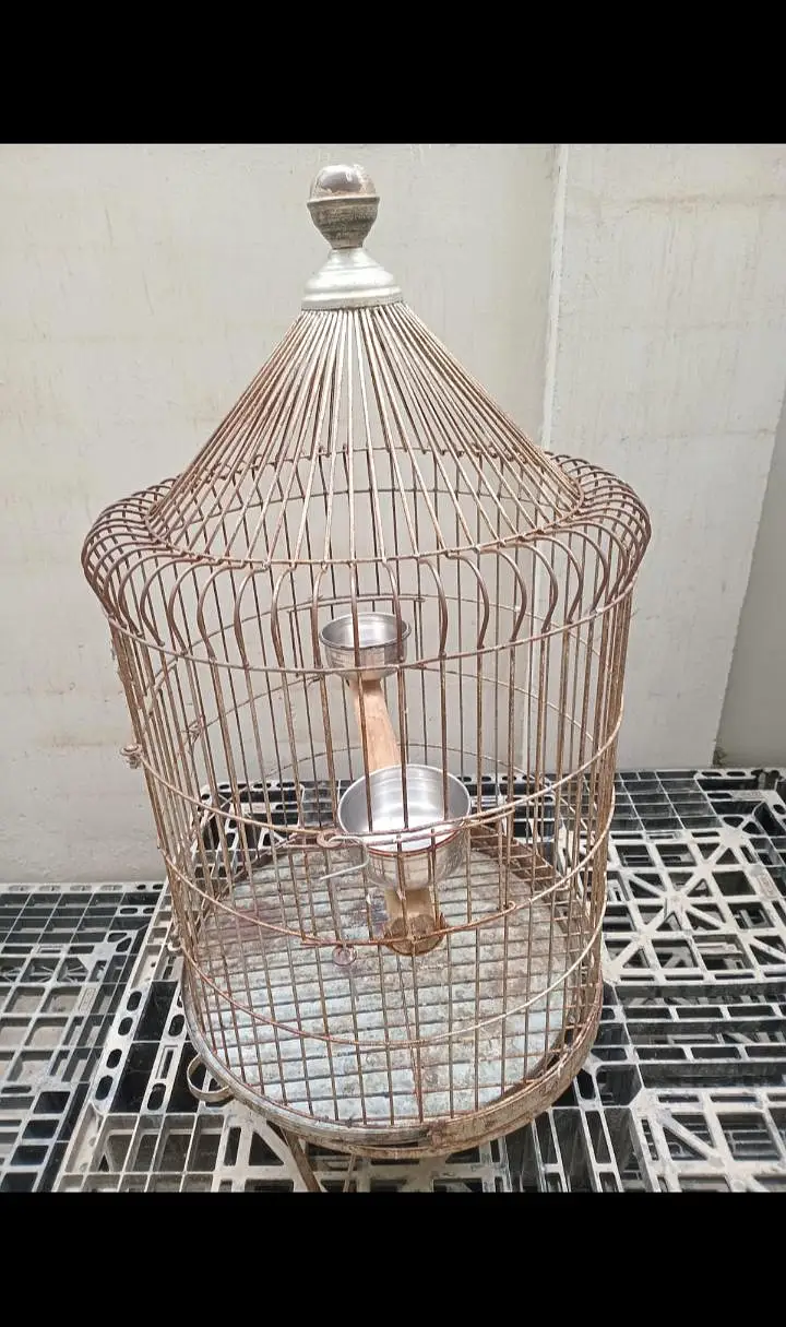 Raw parrot cage — photo 4