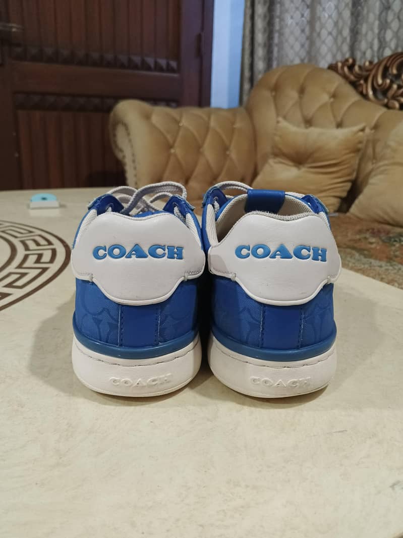 Coach sneaker 2