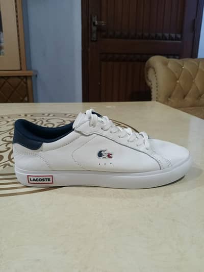 Lacostee Shoe