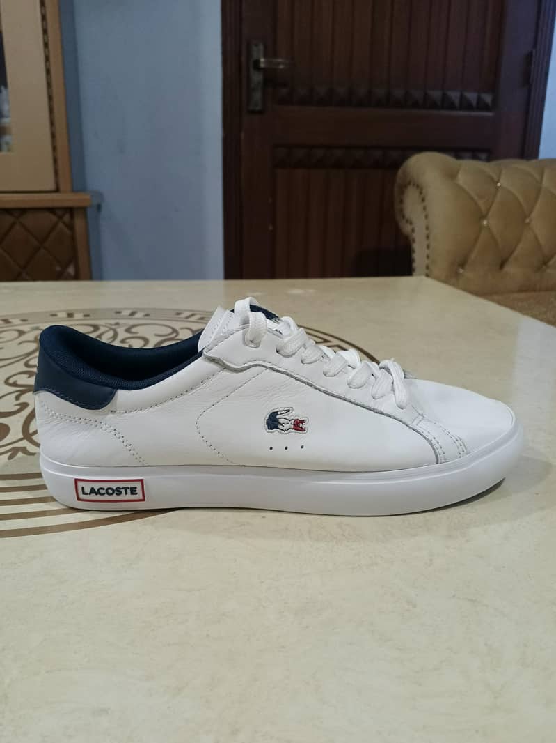 Lacostee Sneaker 0