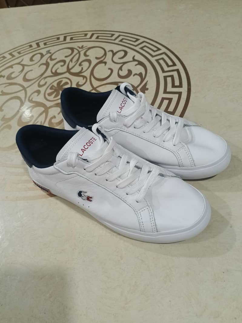 Lacostee Sneaker 1