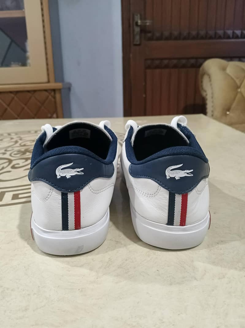 Lacostee Sneaker 2