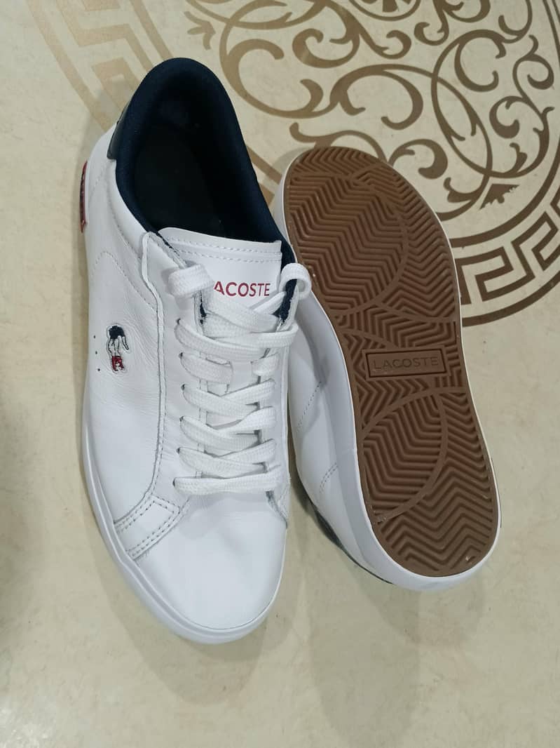 Lacostee Sneaker 3
