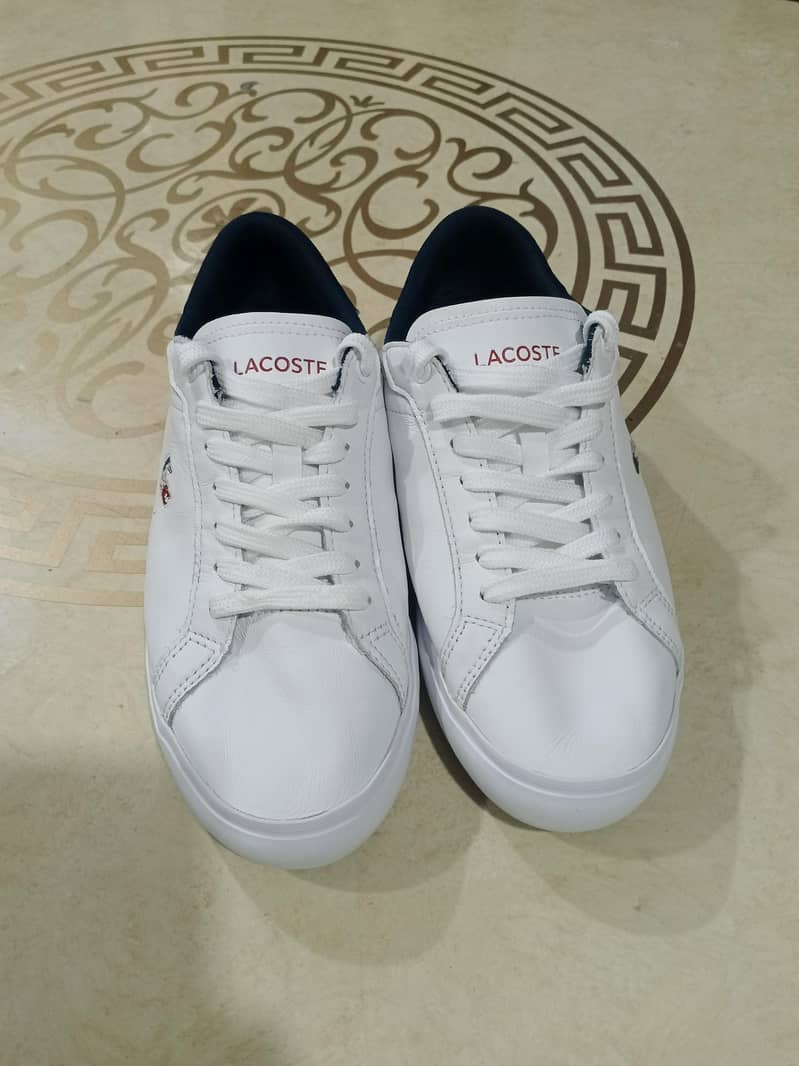 Lacostee Sneaker 4