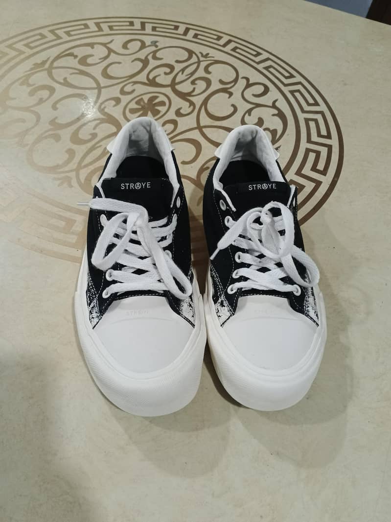 Straye shoe 2