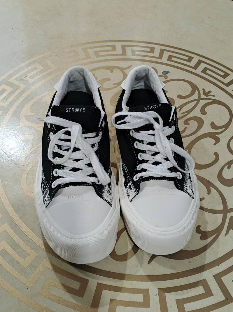Straye shoe 3