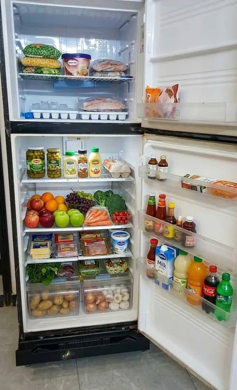 Fridge 1