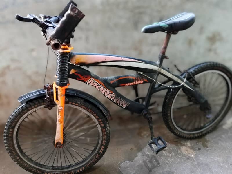 Morgan cycle 2