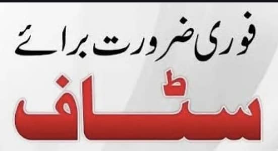 Carpenter  / Electrician / Plumber Sanitary / Office Boy  ضرورت