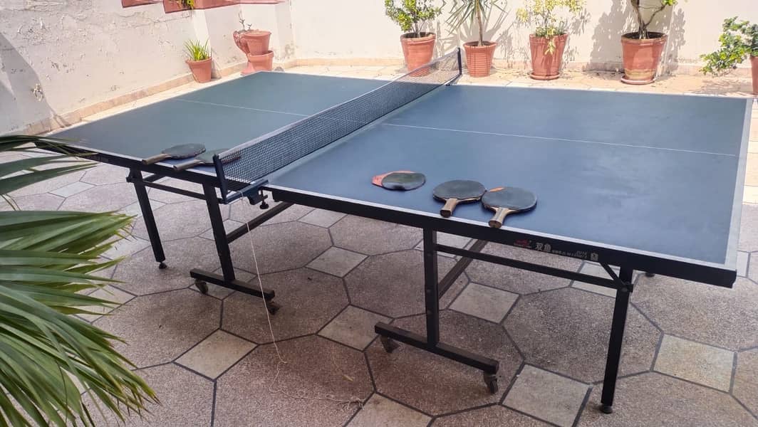 Double Fish Table Tennis Table 0