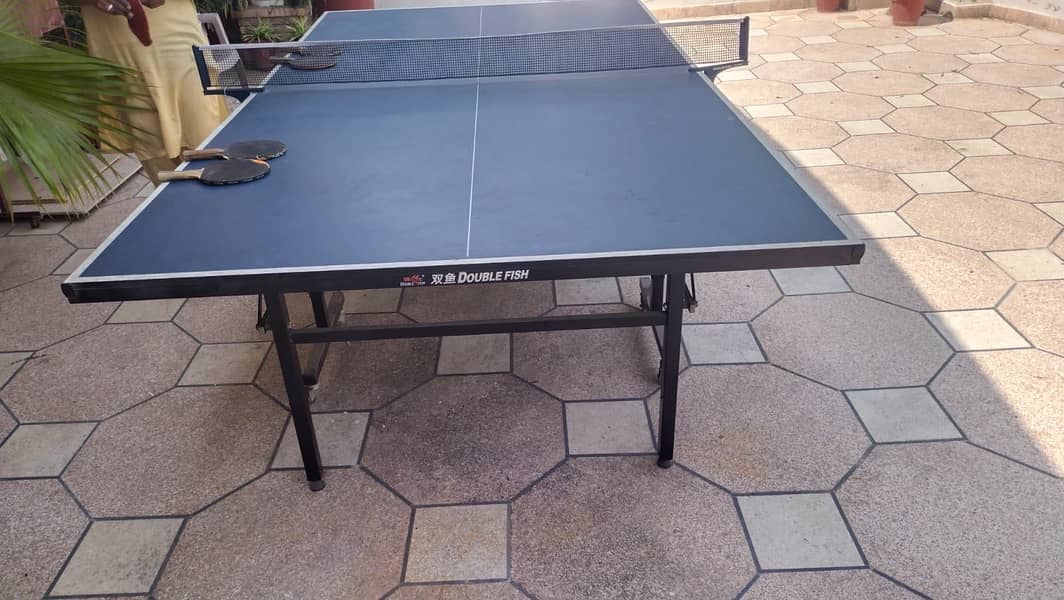 Double Fish Table Tennis Table 1