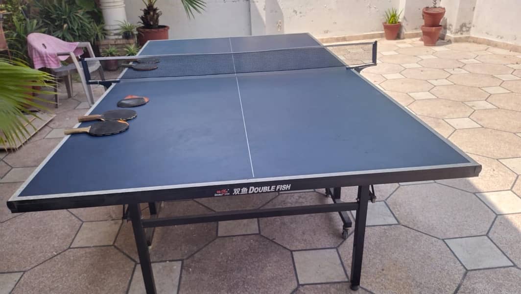 Double Fish Table Tennis Table 2