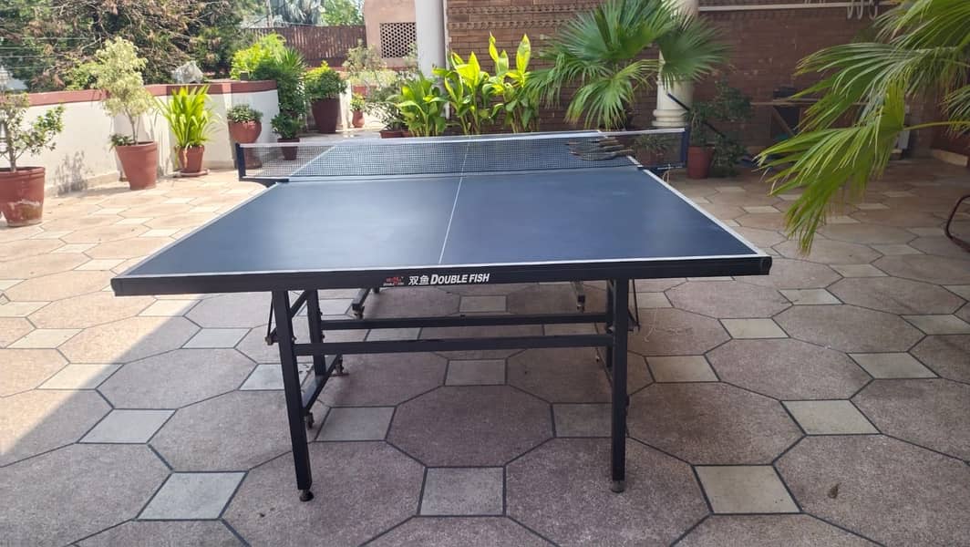 Double Fish Table Tennis Table 3