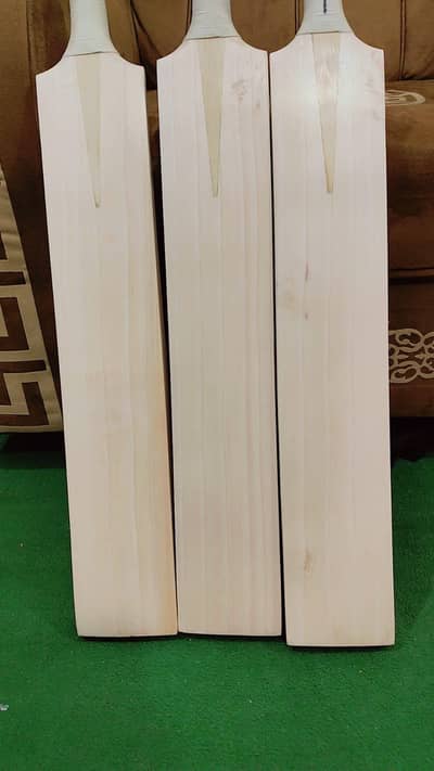 cricket English willow bat