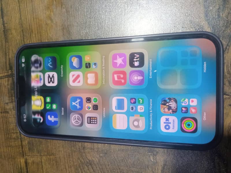Apple iPhone 13 Pro Max 1