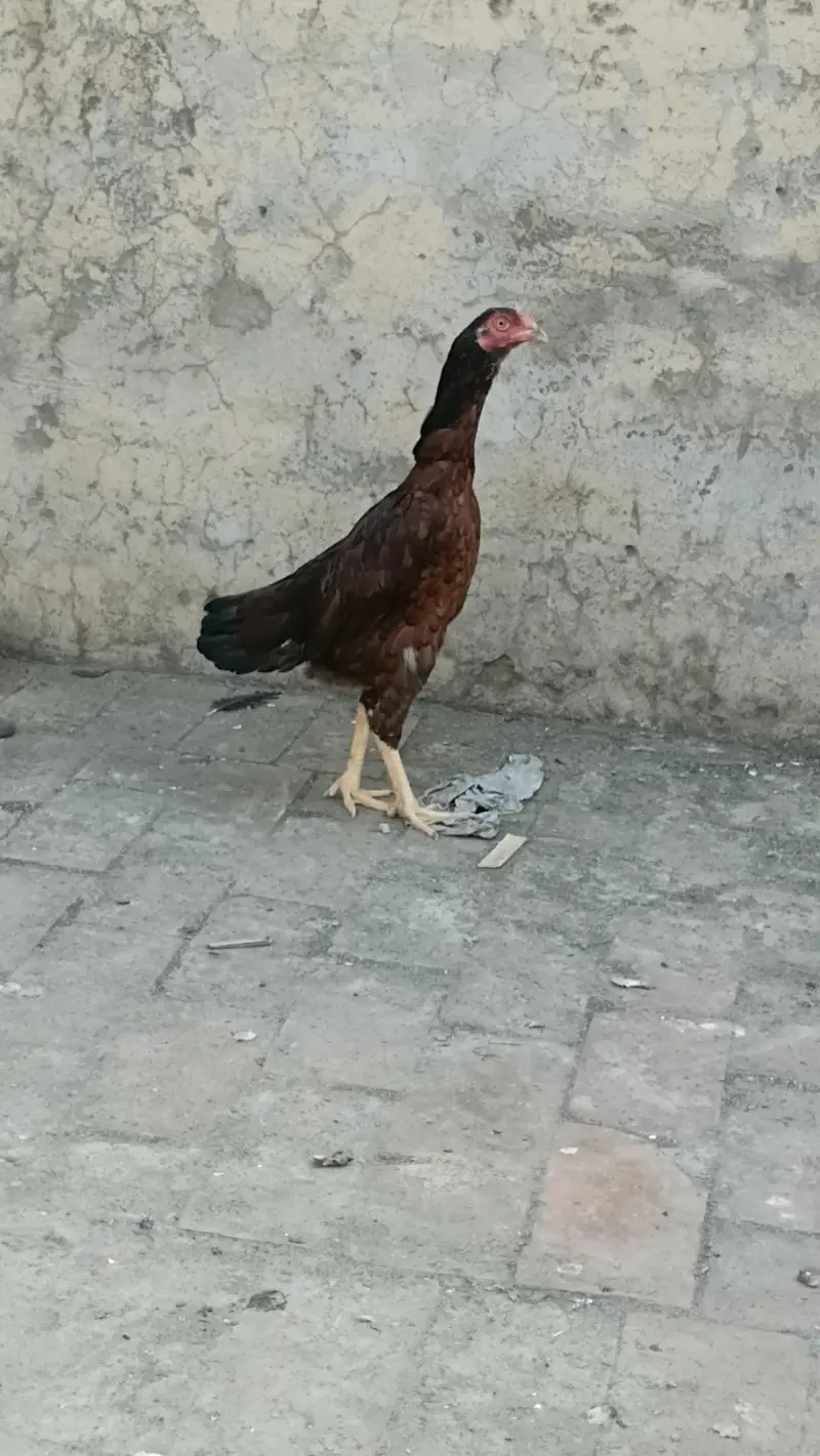 male and female — photo 8