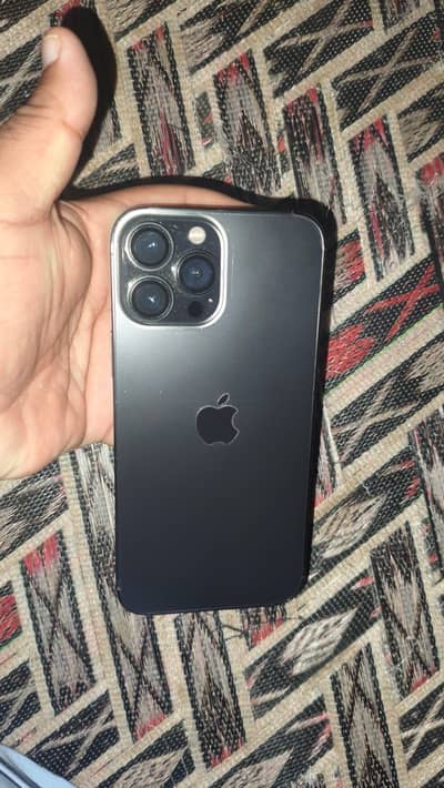13ProMax 1TB