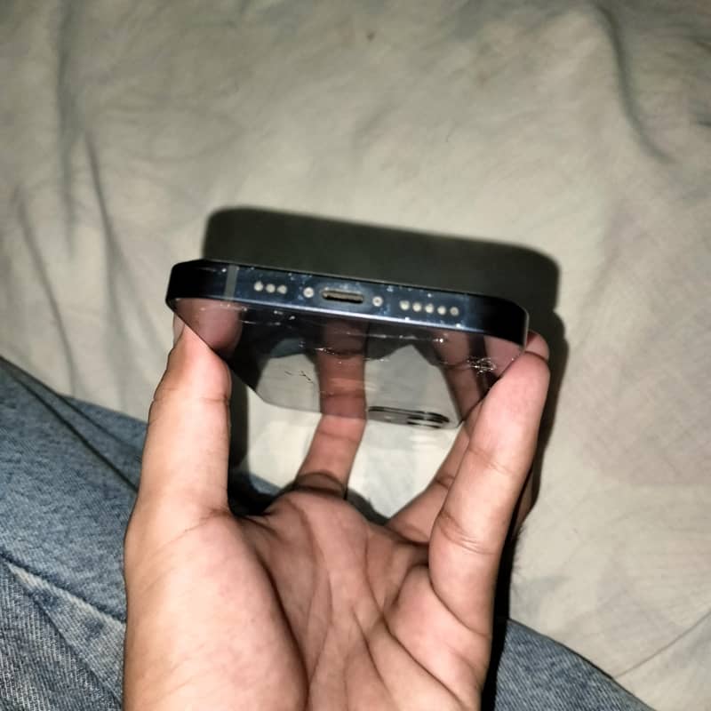 Apple iPhone 12 1