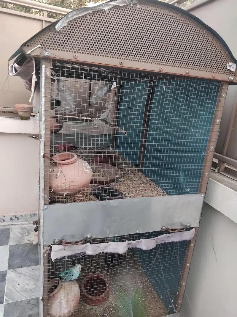double floor Bird cage for sale — photo 3
