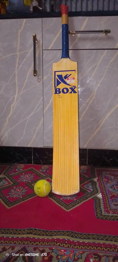 bat and ball