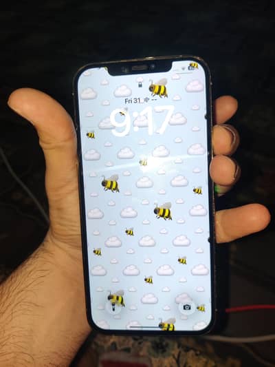 Apple iPhone 12 Pro Max pta approve dual sim 256gb