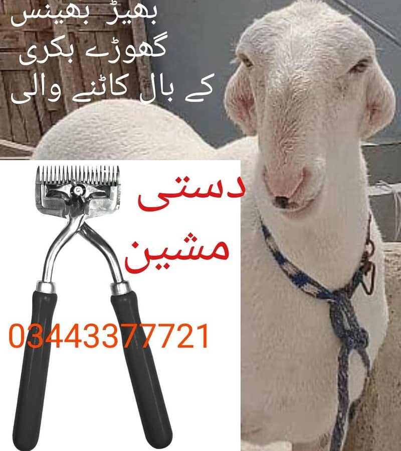 sheep trimmer 0