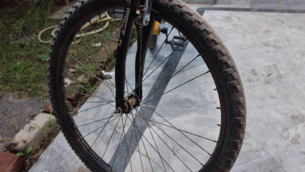Solid Frame Bike , single speed 1