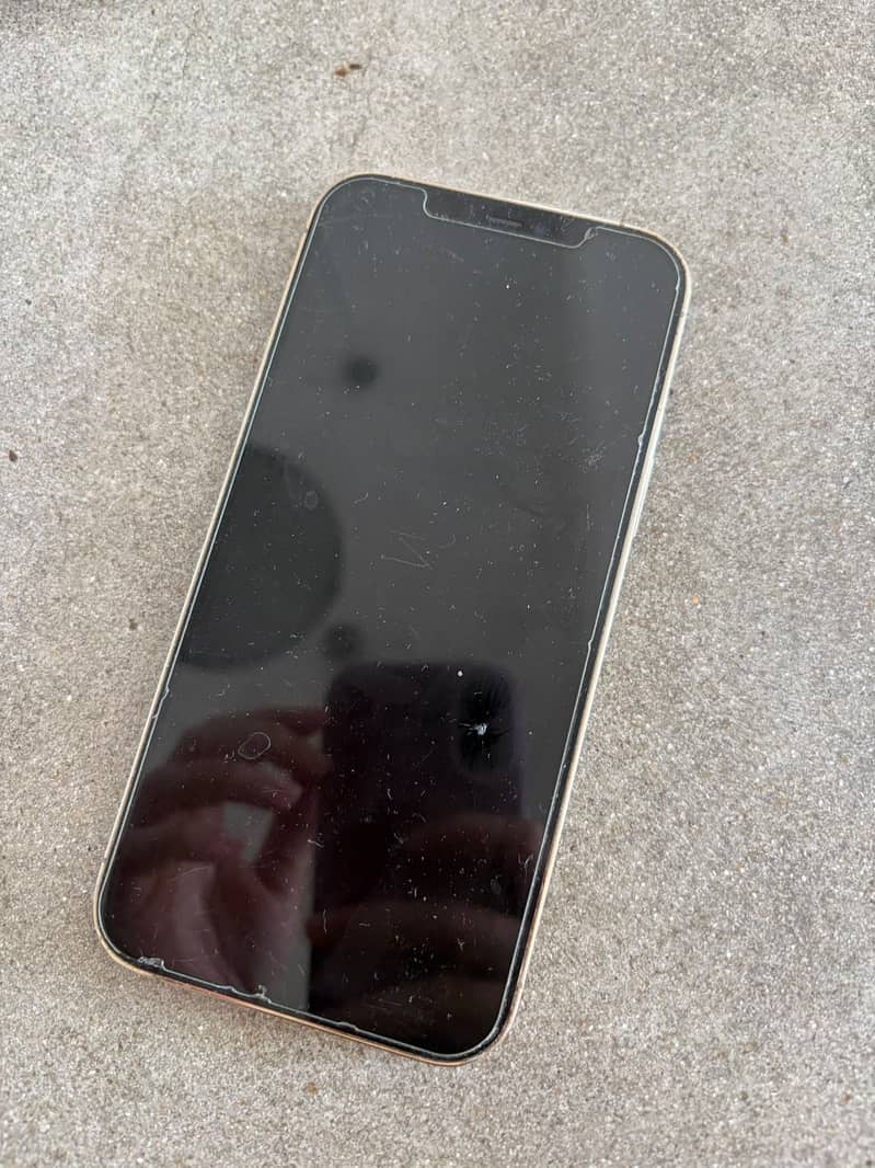 Apple iPhone 12 mini 1