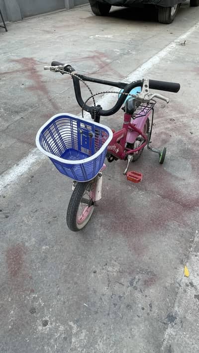 Original Japanese Kids Bicycles – Strong, Durable & Ready to Use