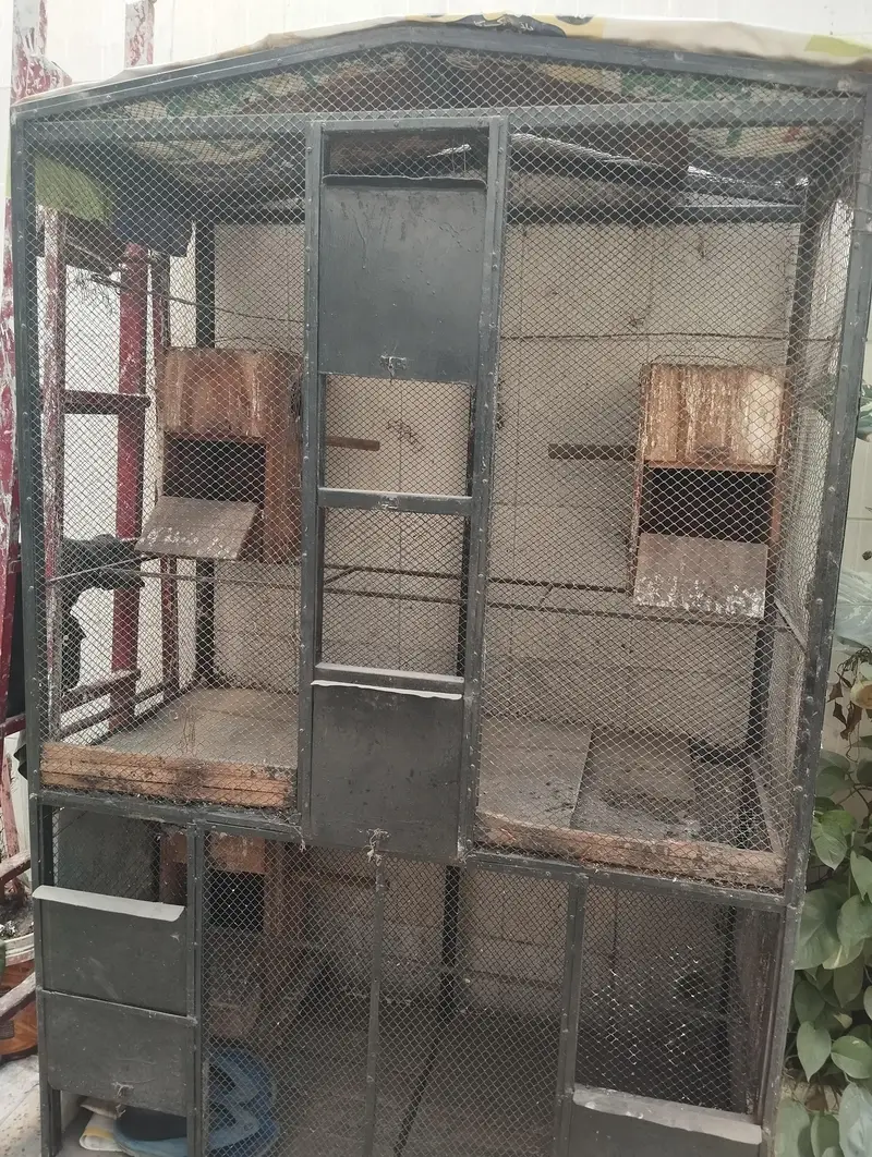 Cage Cage Cage Cage — photo 2