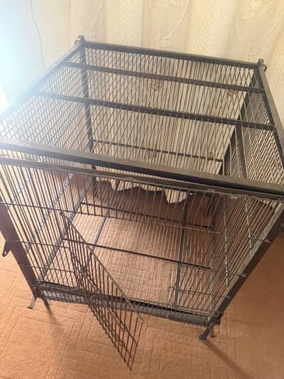 Heavy iron cage for birds and hen in 14000