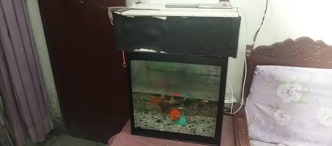aquarium for sale only serious buyer contact
